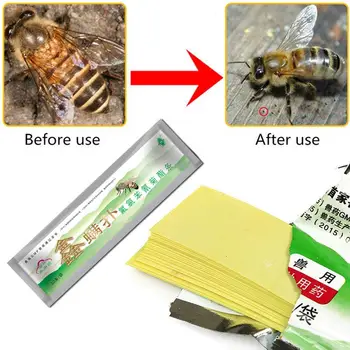 20db/csomag Szakmai Acaricide Ellen A Méh Atka Szalag Méh Varroa Atka Gyilkos Ellenőrzési Méhészeti Méhészeti Gazdaság Gyógyszerek