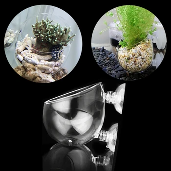 Üveg Akvárium Fű Ültetés Pot Dekoráció, Akvárium Víz Növény Korall-Tenger Szellőrózsa Pot Vízi Moss Ültetés Henger Kupa