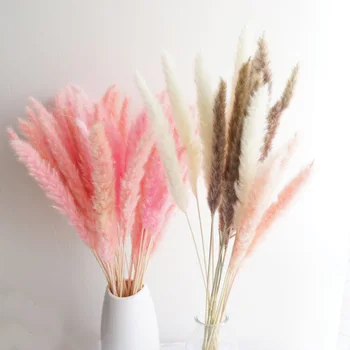 20db 3 szín áll rendelkezésre raw&rózsaszín-fehér kis reed virágok&gyékény virágok&Phragmites virágok&füves pusztán esküvői virágok
